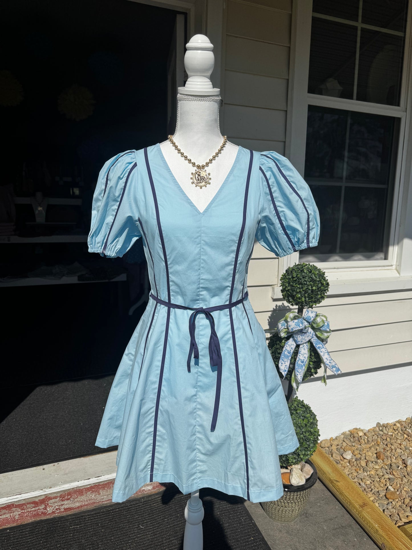 BLUEBERRY DRESS